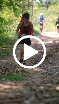 BIB:  <button type="button" onclick="openModal(27629059)" class="btn btn-primary btn-sm float-right" data-toggle="modal" data-target=".modal-high-quality">
                <i class="fa fa-download"></i> Download
                </button>